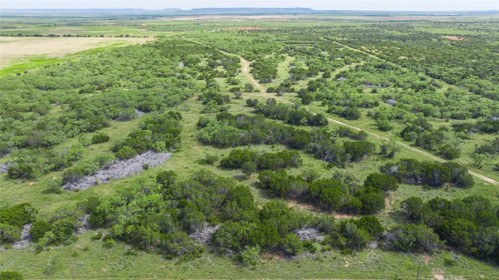 County Road 207 Ovalo, TX 79541
