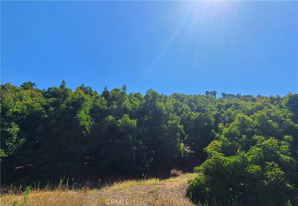 43605 Los Gatos Temecula, CA 92590