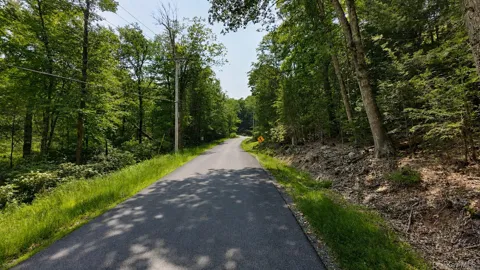 Taylor Road