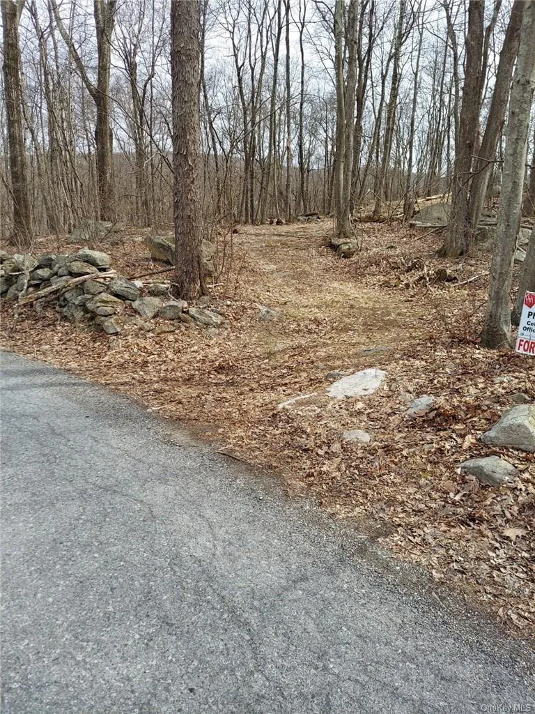 489 Grape Hollow Road Holmes, NY 12531