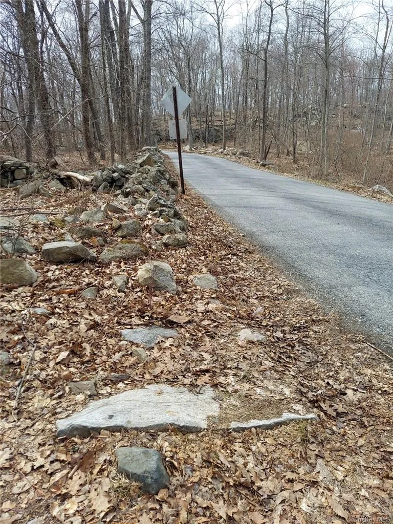 489 Grape Hollow Road Holmes, NY 12531