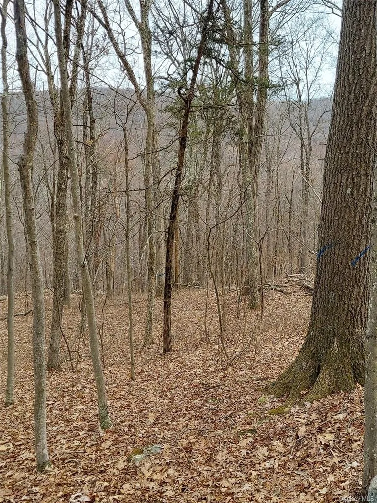 489 Grape Hollow Road Holmes, NY 12531