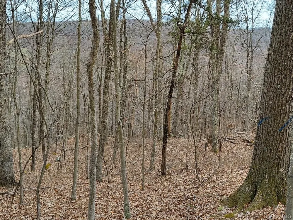 489 Grape Hollow Road Holmes, NY 12531