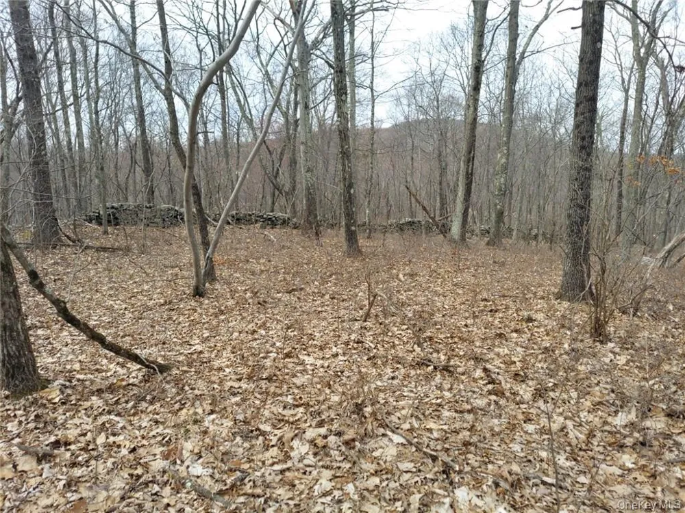 489 Grape Hollow Road Holmes, NY 12531