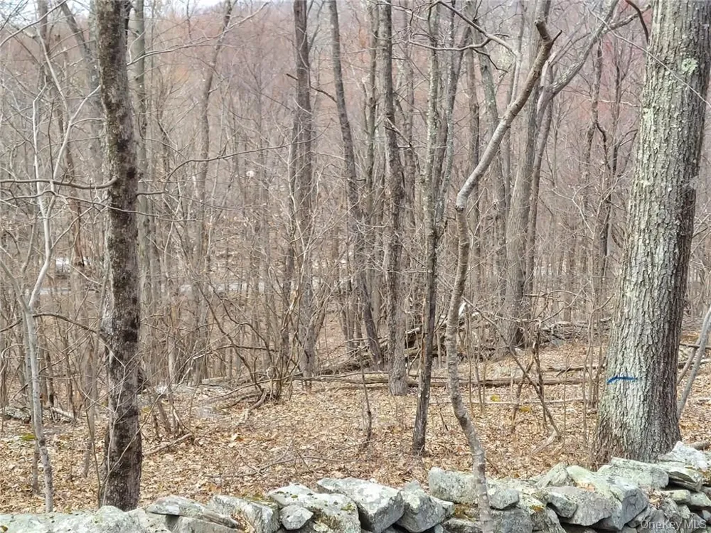 489 Grape Hollow Road Holmes, NY 12531