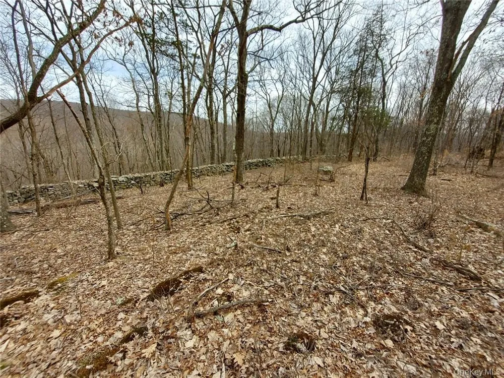 489 Grape Hollow Road Holmes, NY 12531