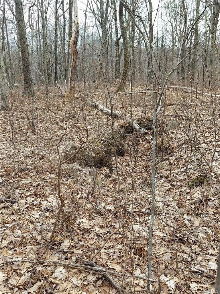 489 Grape Hollow Road Holmes, NY 12531