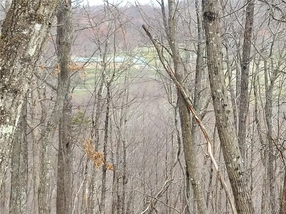489 Grape Hollow Road Holmes, NY 12531
