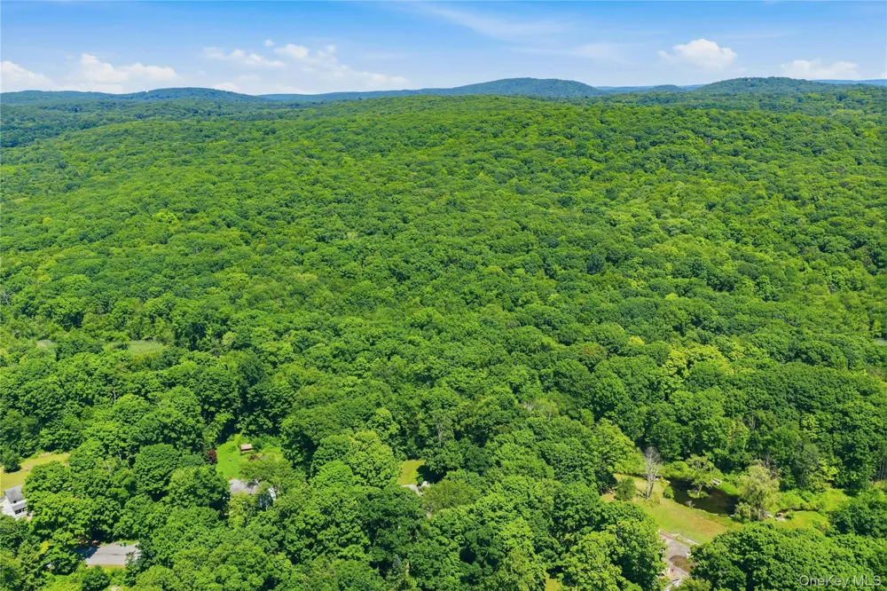 43 Nathan Hale Drive Stormville, NY 12582