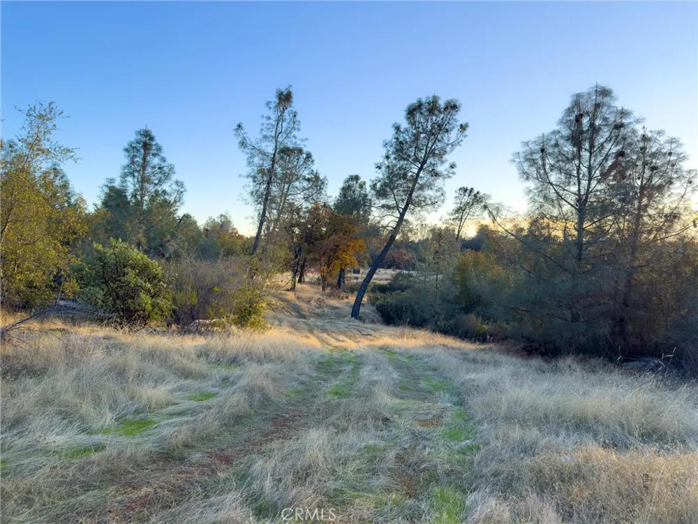 917 Oregon City Oroville, CA 95965