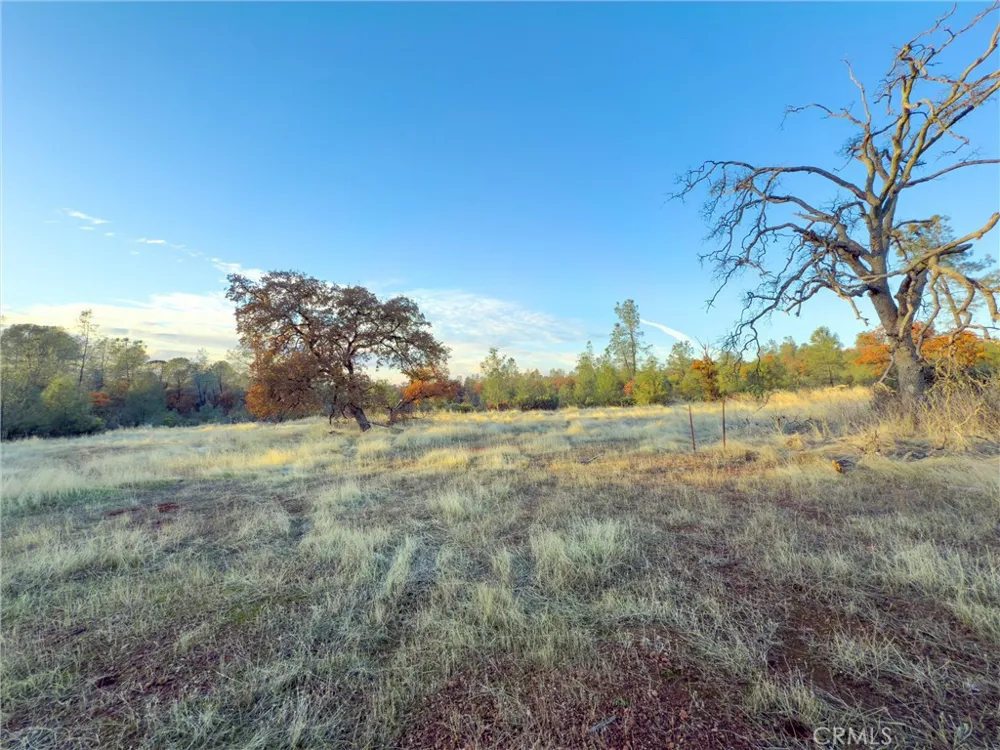 917 Oregon City Oroville, CA 95965
