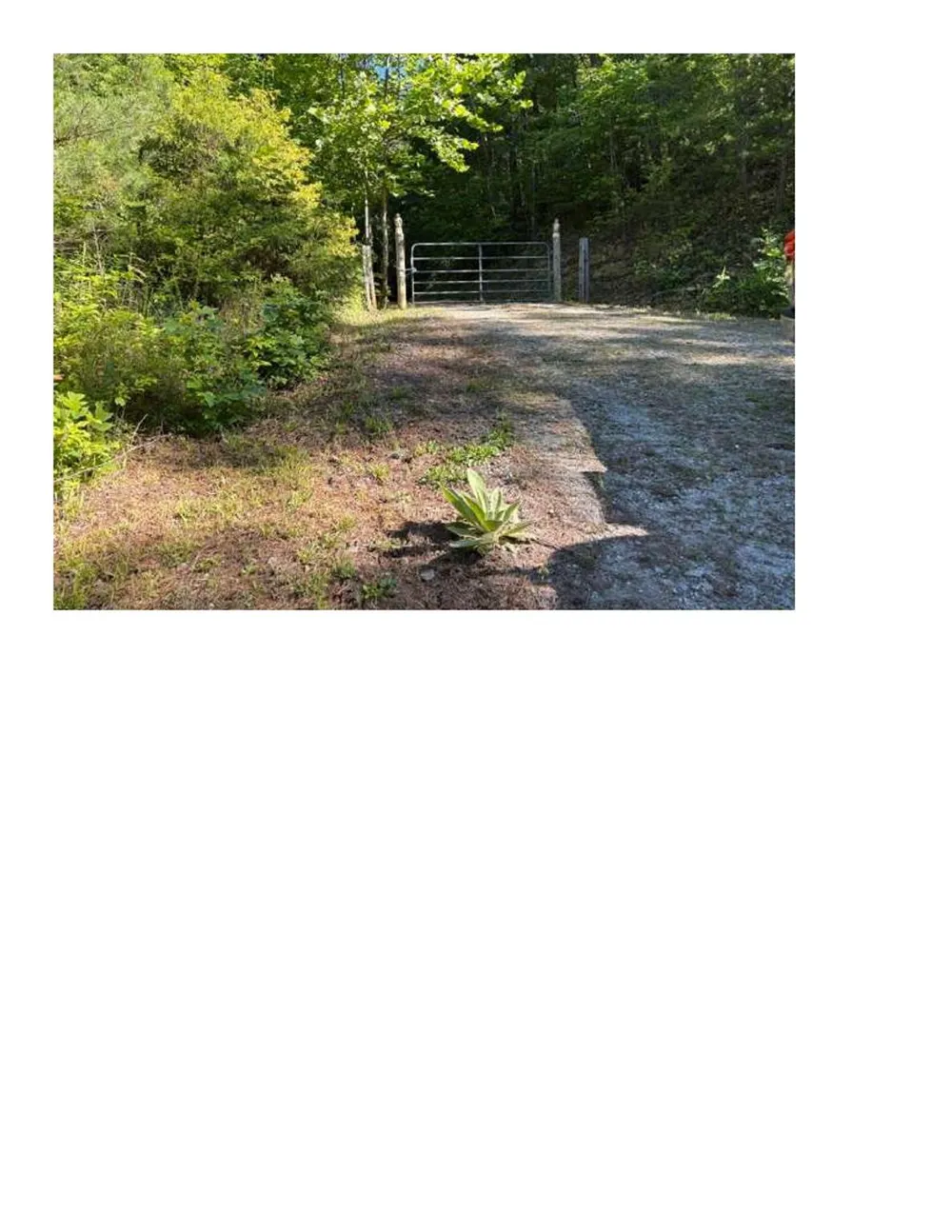 5314 Daisy Place Collettsville, NC 28611