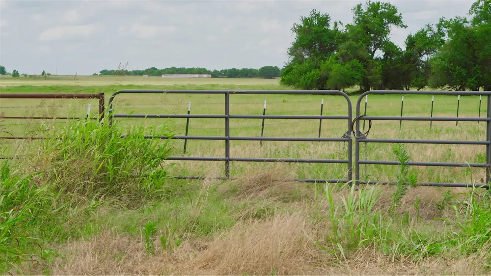 E Hwy 56 Honey Grove, TX 75446