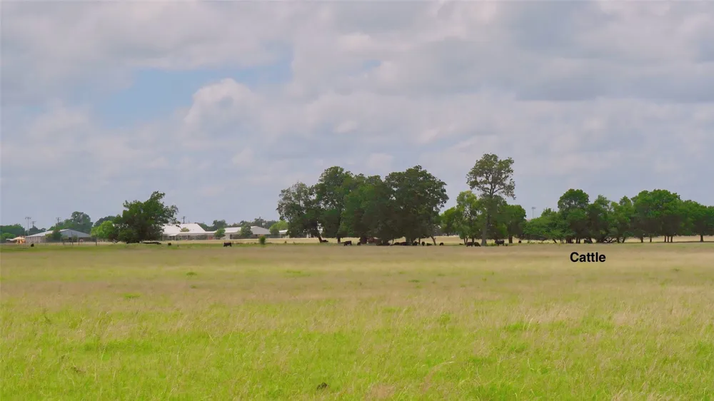 E Hwy 56 Honey Grove, TX 75446