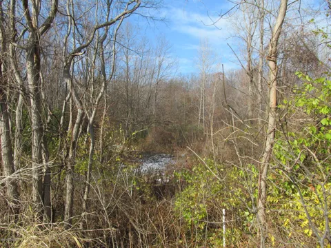 W Marquette Woods Road