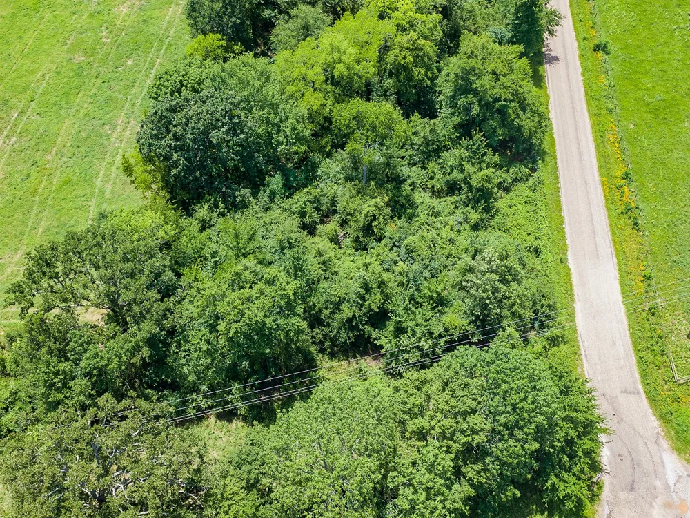 Fm 1896 Mt Pleasant, TX 75455