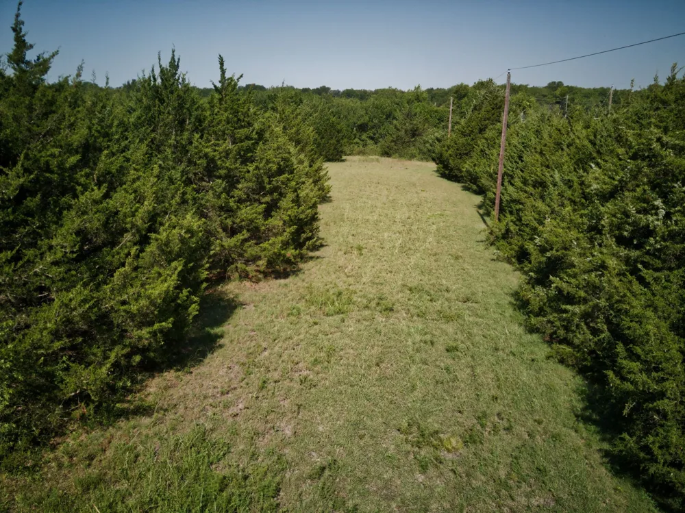 Address Not Shown Leonard, TX 75452