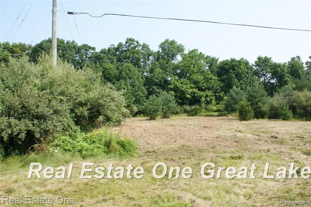 Trade Center Way Drive Elba Township, MI 48446