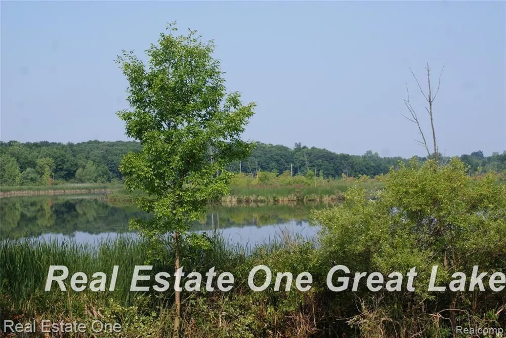 Trade Center Way Drive Elba Township, MI 48446