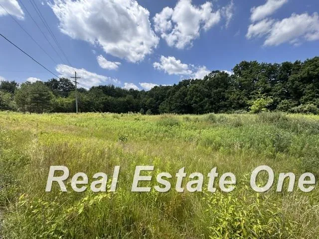 Trade Center Way Drive Elba Township, MI 48446