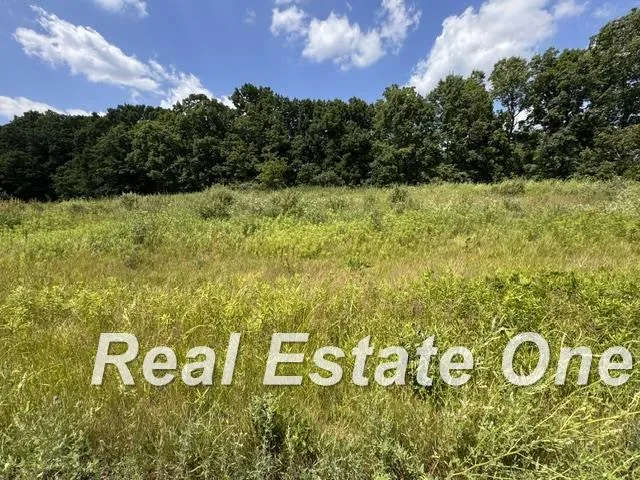 Trade Center Way Drive Elba Township, MI 48446