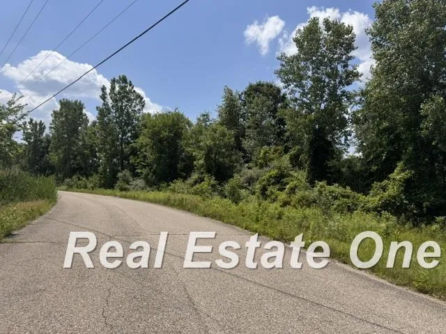 Trade Center Way Drive Elba Township, MI 48446