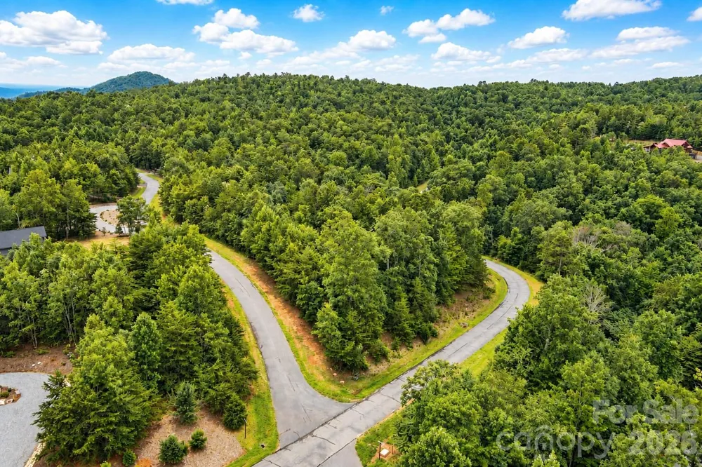 V/L Mountain Vista Drive Nebo, NC 28761