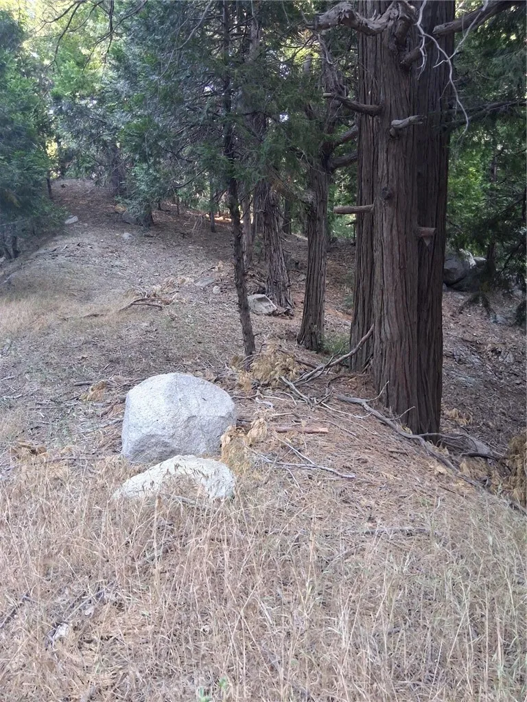 6 Finhaut Drive Crestline, CA 92325