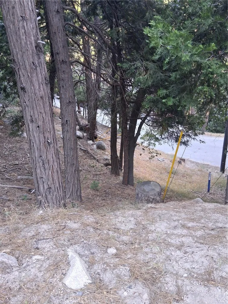 6 Finhaut Drive Crestline, CA 92325