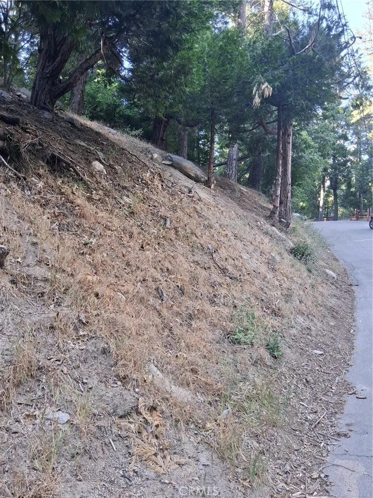 6 Finhaut Drive Crestline, CA 92325