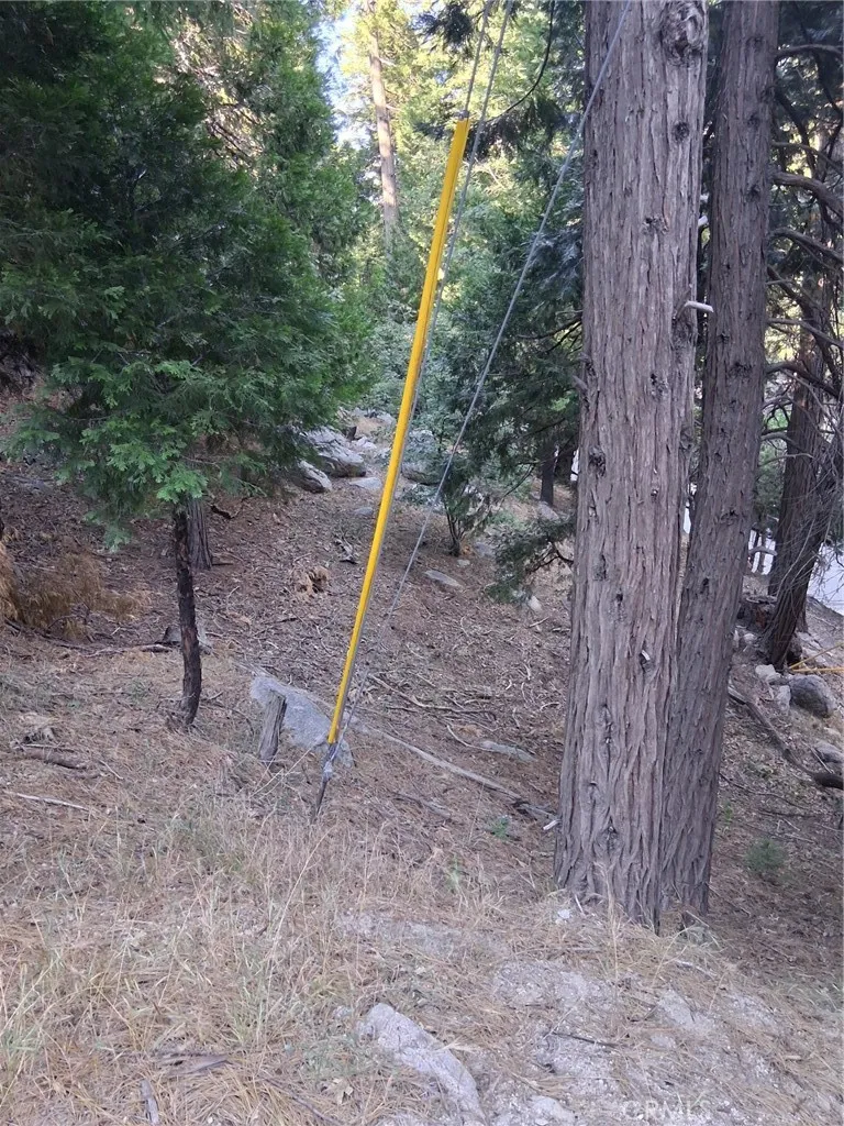 6 Finhaut Drive Crestline, CA 92325