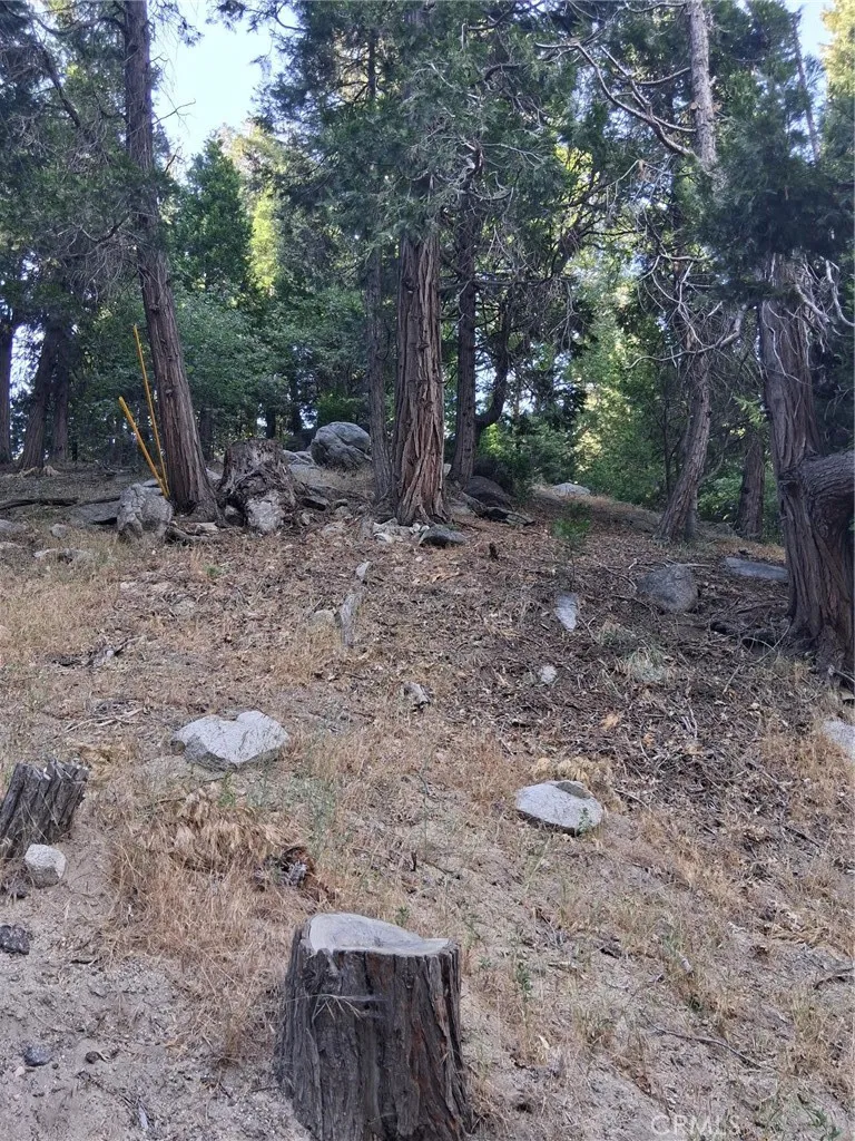 6 Finhaut Drive Crestline, CA 92325