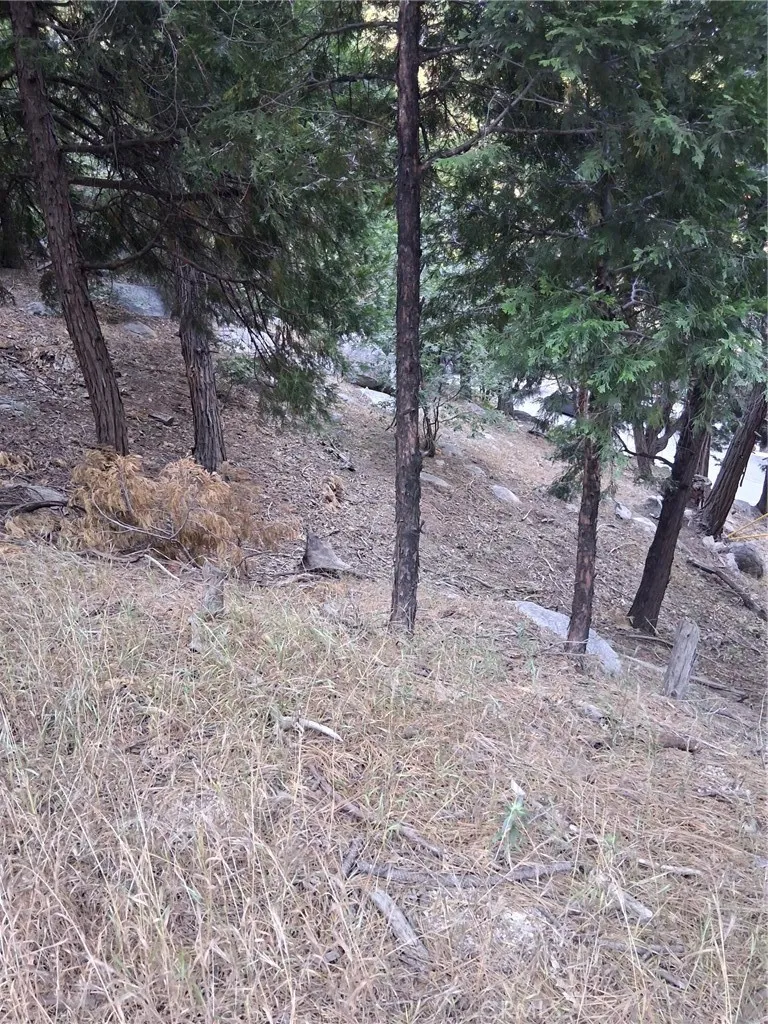 6 Finhaut Drive Crestline, CA 92325
