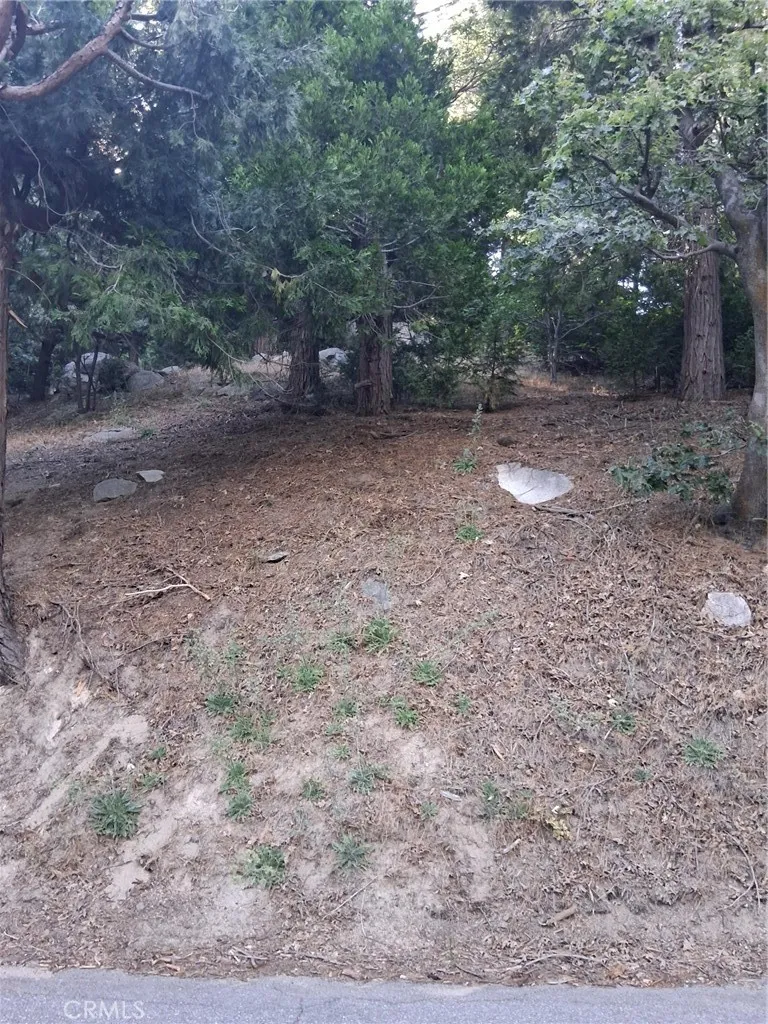 6 Finhaut Drive Crestline, CA 92325