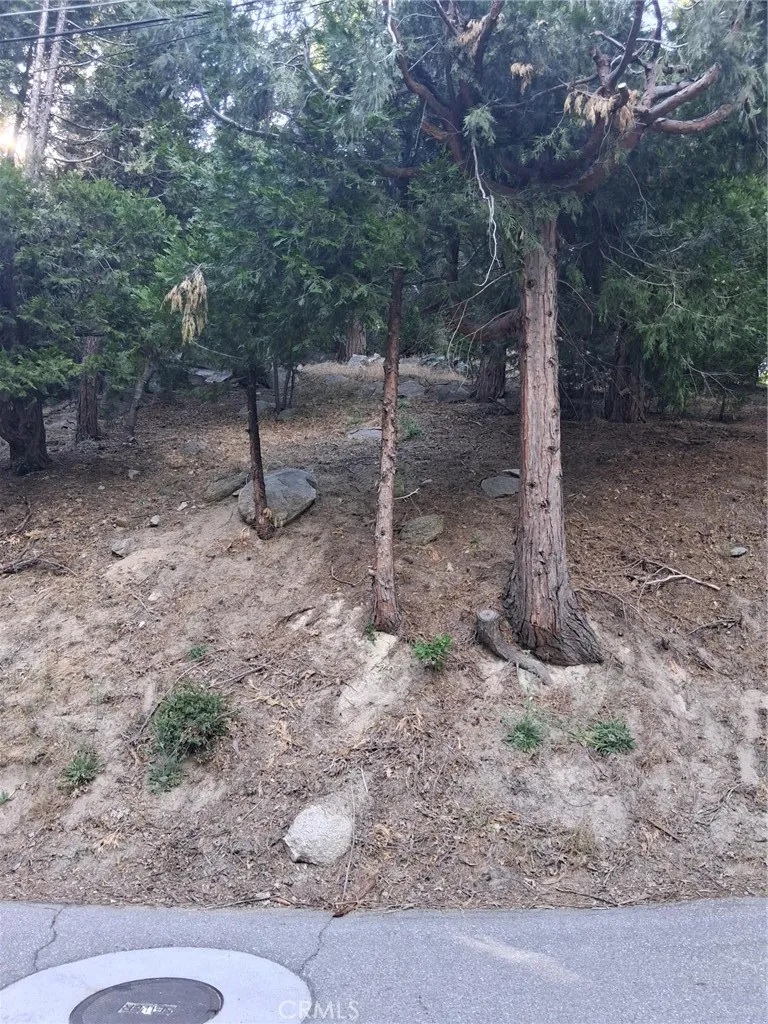 6 Finhaut Drive Crestline, CA 92325