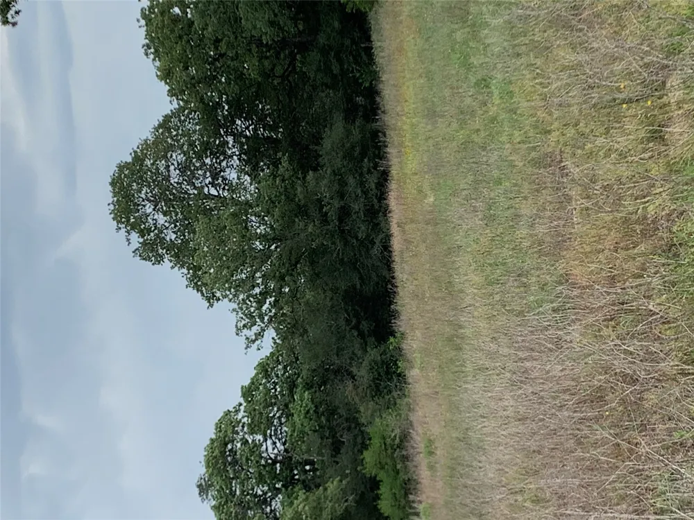276 Ott Road Rosanky, TX 78953