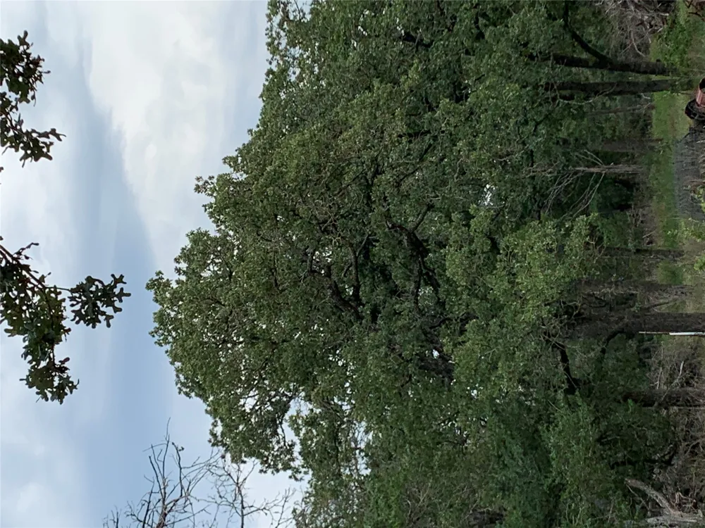 276 Ott Road Rosanky, TX 78953
