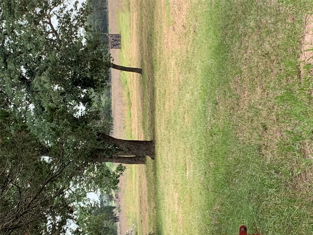 276 Ott Road Rosanky, TX 78953
