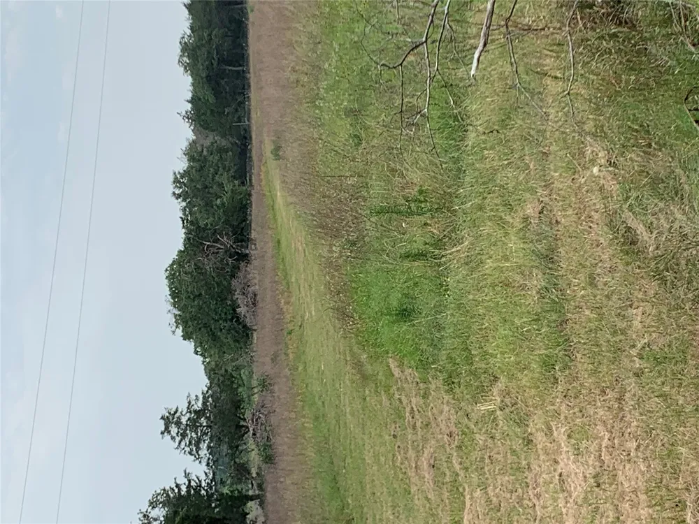276 Ott Road Rosanky, TX 78953