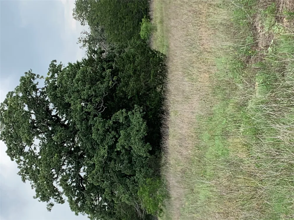 276 Ott Road Rosanky, TX 78953