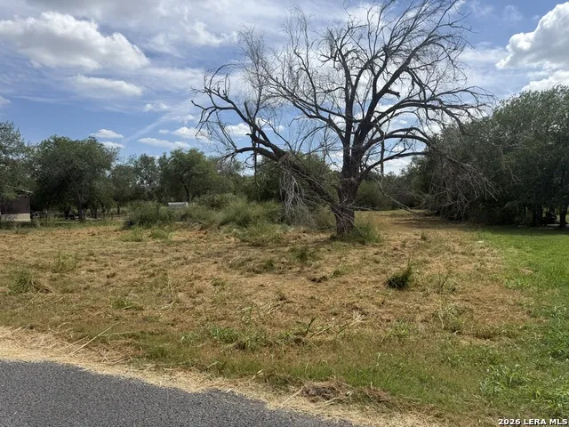 810 Shenandoah St Poth, TX 78147