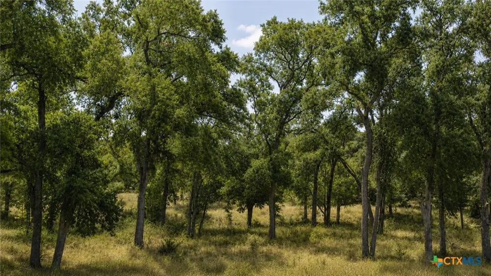 55 Buffalo Creek Drive Evant, TX 76525