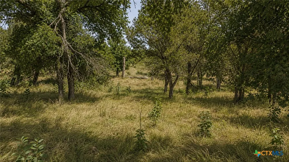 55 Buffalo Creek Drive Evant, TX 76525