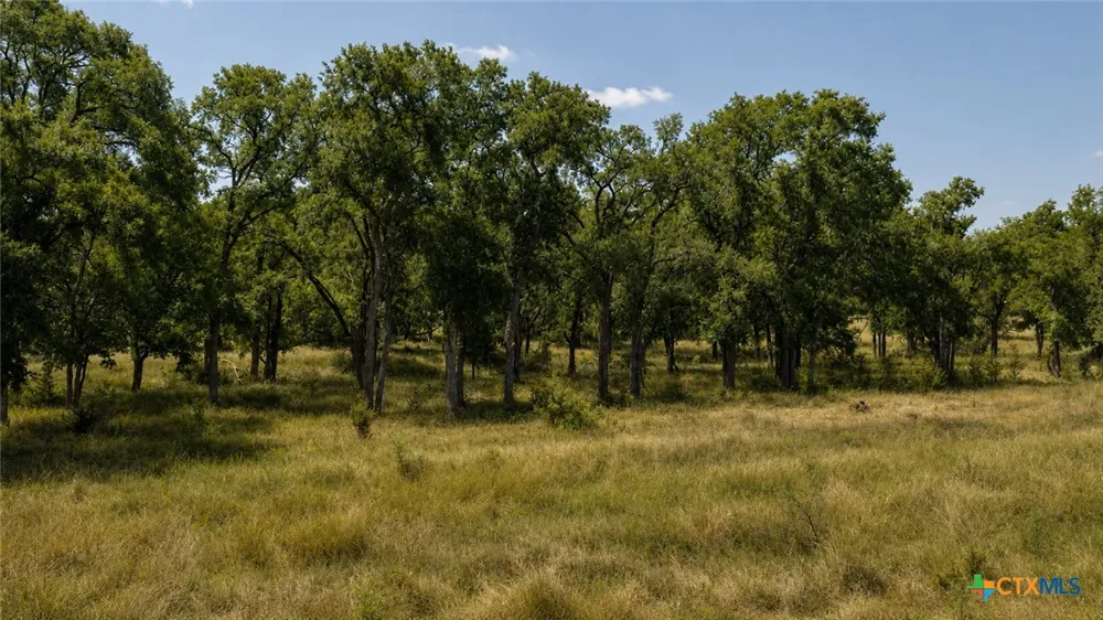 55 Buffalo Creek Drive Evant, TX 76525