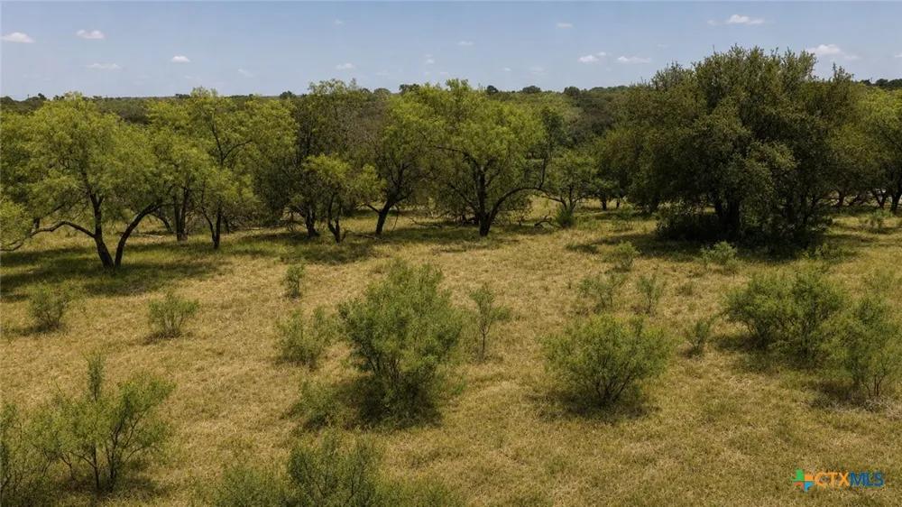 55 Buffalo Creek Drive Evant, TX 76525