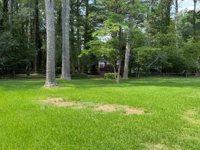 2511 Monitor Court Decatur, GA 30034