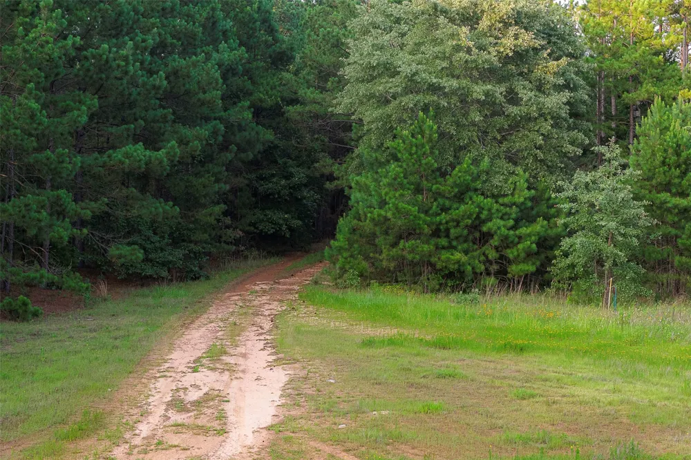 County Road 2136 Tatum, TX 75691