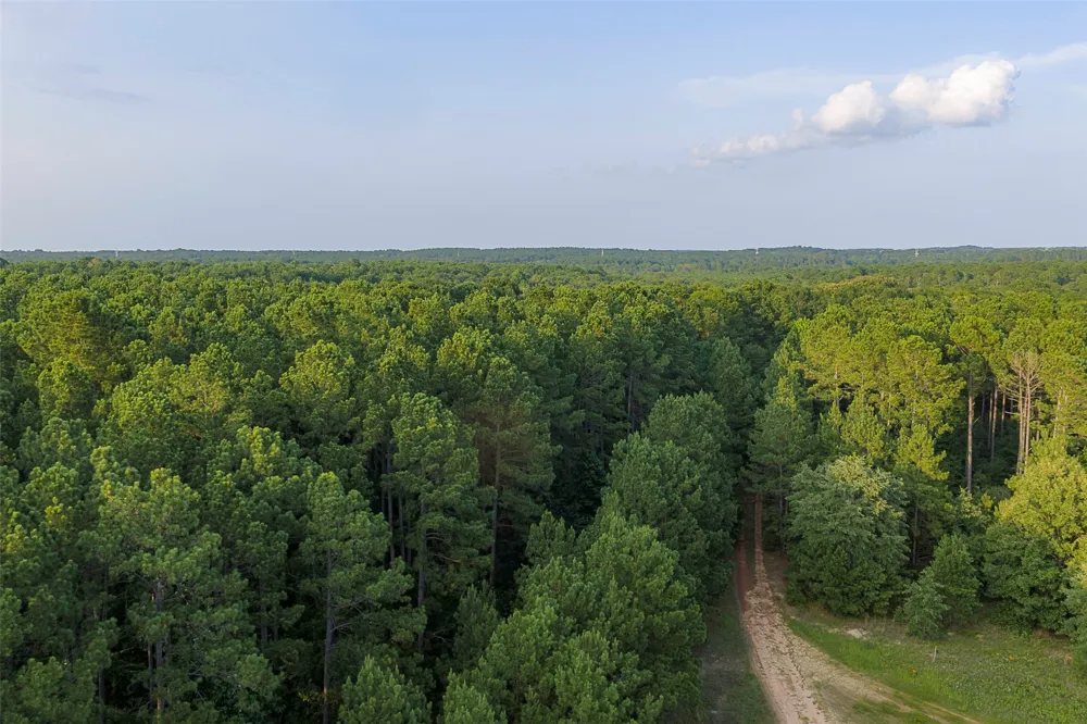 County Road 2136 Tatum, TX 75691
