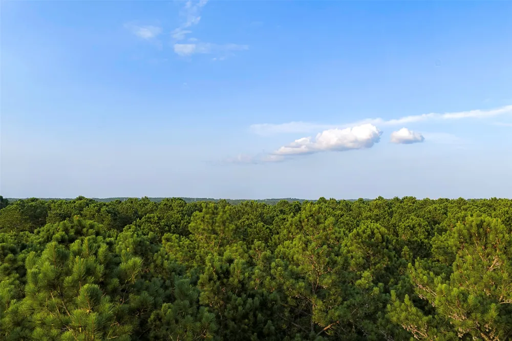 County Road 2136 Tatum, TX 75691