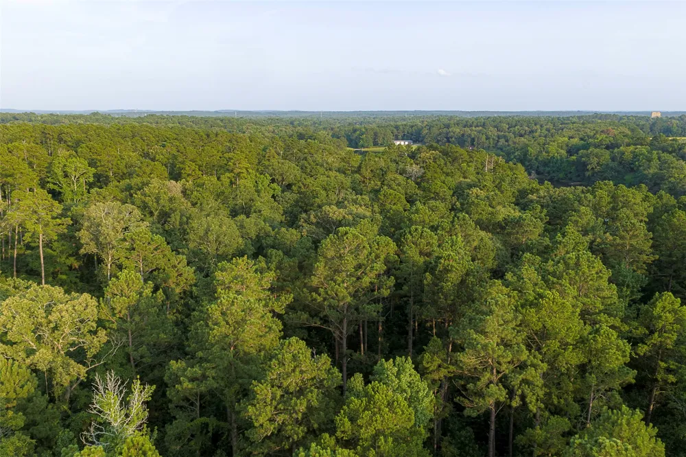 County Road 2136 Tatum, TX 75691